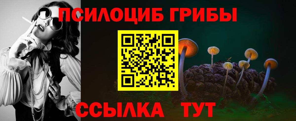 Псилоцибиновые грибы мухоморы  Вход с VPN  Псилоцибиновые грибы Psilocybine cubensis  где продают   Донской 